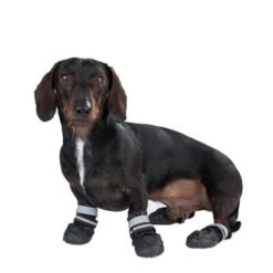 Los más vendidos 8 Zapatos Para Perros S & P Boots