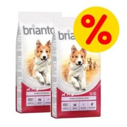 Briantos Pienso Para Perros - Pack Ahorro