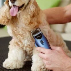 Set Máquina Cortapelo Para Mascotas Oster 220 V -Mascota Suministros Ventas 53731 osterheimtierschermaschinen hs 10 1