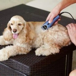 Set Máquina Cortapelo Para Mascotas Oster 220 V -Mascota Suministros Ventas 53731 osterheimtierschermaschinen hs 12 3