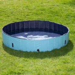 Piscina Para Perros Keep Cool -Mascota Suministros Ventas 60405 PLA Dog Pool Keep Cool 160 FG DSC4746 6
