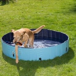 Piscina Para Perros Keep Cool -Mascota Suministros Ventas 60405 dog pool mit hund 01 5