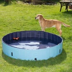 Piscina Para Perros Keep Cool -Mascota Suministros Ventas 60405 dog pool mit hund 04 8