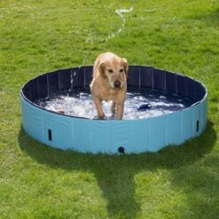 Piscina Para Perros Keep Cool -Mascota Suministros Ventas 60405 dog pool mit hund 05 2