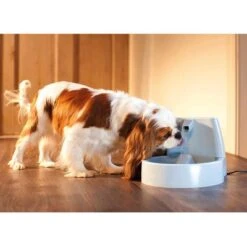 Fuente De Agua Para Mascotas Drinkwell Original De PetSafe -Mascota Suministros Ventas 60939 dw o trinkbrunnen 1 5 hs 03 0