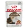 Royal Canin Ageing +12 En Salsa