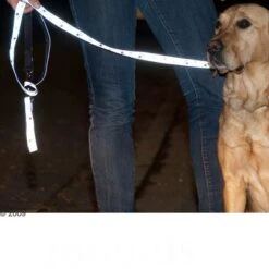 Correa Ajustable Y Reflectante Trixie Color Gris -Mascota Suministros Ventas 61857 trixie vleinepfoten4 1