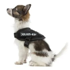 Julius K9 Arnés Julius-K9 IDC® Power Negro Para Perros -Mascota Suministros Ventas 65467 julius k9 idc powergeschirr schwarz 7