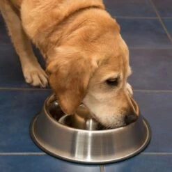 Comedero Antivoracidad De Acero Para Perros -Mascota Suministros Ventas 66349 antischlingnapf fg 1011 1