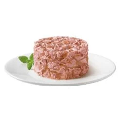 Gourmet Gold Tartelette 24 X 85 G 20 Gourmet Gold Tartelette 24 X 85 G -Mascota Suministros Ventas 69003 purina gourmet gold raffiniertes ragout mit thunfisch 5