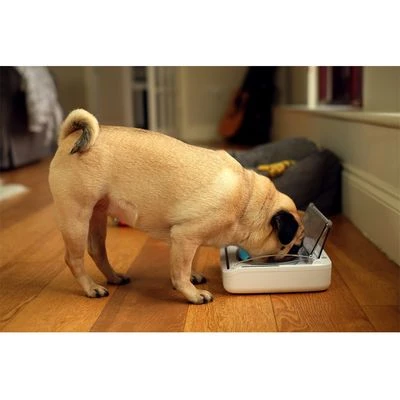 Comedero Hermético SureFeed 4 Comedero Hermético SureFeed - Imagen 4