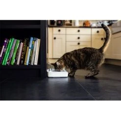 Comedero Hermético SureFeed 18 Comedero Hermético SureFeed -Mascota Suministros Ventas 69308 pla 7 luftdichte futt 5