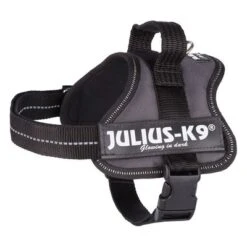 Julius K9 Arnés JULIUS-K9® Power Antracita Para Perros 10 Julius K9 Arnés JULIUS-K9® Power Antracita Para Perros -Mascota Suministros Ventas 69338 pla trixie julius k9 farbangabe hs 03 15020za 3