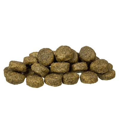 Bosch Sensitive Con Cordero Y Arroz 2 Bosch Sensitive Con Cordero Y Arroz - Imagen 2