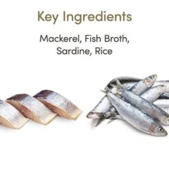 Applaws Latas En Caldo Para Gatos 12 X 70 G 37 Applaws Latas En Caldo Para Gatos 12 X 70 G -Mascota Suministros Ventas 70838 applaws bruhe makrele sardine 70g hs 03 4