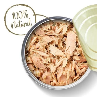 Applaws Latas En Caldo Para Gatos 12 X 70 G 16 Applaws Latas En Caldo Para Gatos 12 X 70 G - Imagen 16