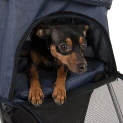 Cochecito Para Mascotas Pequeñas Sporty Pet Stroller 19 Cochecito Para Mascotas Pequeñas Sporty Pet Stroller -Mascota Suministros Ventas 71006 sporty pet stroller fg 8107 6