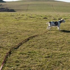 Correa De Rastreo Heim Engomada Para Perros -Mascota Suministros Ventas 71830 supergrip outside fg 3556 0