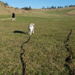 Correa De Rastreo Heim Engomada Para Perros -Mascota Suministros Ventas 71830 supergrip outside fg 3561 5