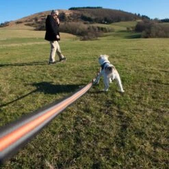 Correa De Rastreo Heim Engomada Para Perros -Mascota Suministros Ventas 71830 supergrip outside fg 3614 9