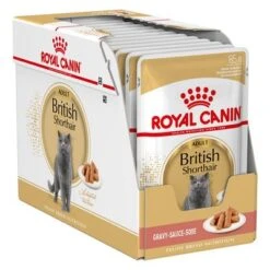 Royal Canin Breed British Shorthair -Mascota Suministros Ventas 72437 royalcanin britishshorthair wet pack hs 01 6