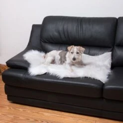 Smartpet Alfombra Para Perros Y Gatos -Mascota Suministros Ventas 73343 kunstfell wei tier fg 9887 1