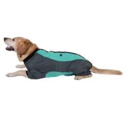 Abrigo Largo Overall II Para Perros 20 Abrigo Largo Overall II Para Perros -Mascota Suministros Ventas 73483 hundeoverall mint fg 1000px 2917 6