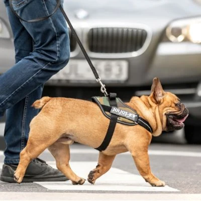 Julius K9 Arnés Julius-K9 IDC®-Power Camuflaje Para Perros 4 Julius K9 Arnés Julius-K9 IDC®-Power Camuflaje Para Perros - Imagen 4