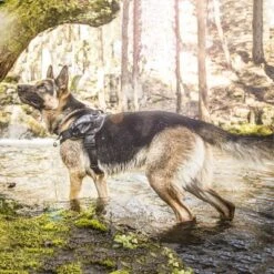 Julius K9 Arnés Julius-K9 IDC®-Power Camuflaje Para Perros 20 Julius K9 Arnés Julius-K9 IDC®-Power Camuflaje Para Perros -Mascota Suministros Ventas 74075 julius k9 idc powergeschirr camouflage 1 1