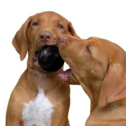 KONG Extreme Ball -Mascota Suministros Ventas 74241 kong extremeball hs 03 6