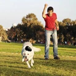 KONG Extreme Juguete Negro Para Perros 19 KONG Extreme Juguete Negro Para Perros -Mascota Suministros Ventas 74319 kongextremeschwarz hs 02 0