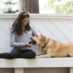 KONG Extreme Juguete Negro Para Perros 23 KONG Extreme Juguete Negro Para Perros -Mascota Suministros Ventas 74319 kongextremeschwarz hs 03 2