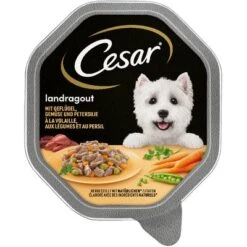 Cesar En Tarrinas 14 X 150 G 30 Cesar En Tarrinas 14 X 150 G -Mascota Suministros Ventas 75301 pla mars cesar landragout mit gemuese hs 01 8