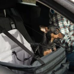 Asiento Para El Coche Booster 17 Asiento Para El Coche Booster -Mascota Suministros Ventas 78030 autositz booster fg 6387 2