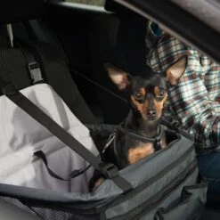 Asiento Para El Coche Booster 18 Asiento Para El Coche Booster -Mascota Suministros Ventas 78030 autositz booster fg 6388 6
