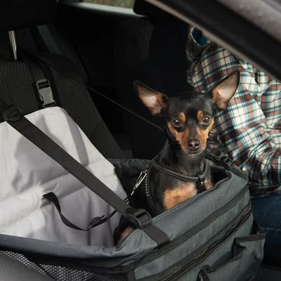 Asiento Para El Coche Booster 7 Asiento Para El Coche Booster - Imagen 7