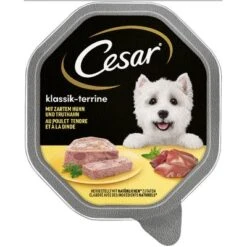 Cesar En Tarrinas 14 X 150 G 25 Cesar En Tarrinas 14 X 150 G -Mascota Suministros Ventas 78459 pla mars cesar klassiker huhn truthahn hs 01 0