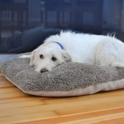 Cojín Ortopédico Pawz & Pepper Denver -Mascota Suministros Ventas 78610 petlando pawzpepper hundekissen auroraortho hs 09 5