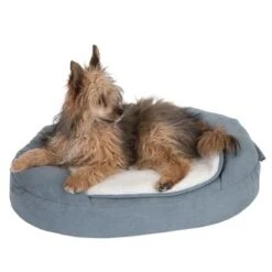 Cama Ortopédica Memory Ovalada Gris -Mascota Suministros Ventas 79216 memory oval grau fg 6670 1