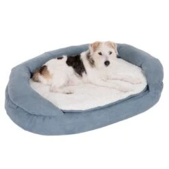 Cama Ortopédica Memory Ovalada Gris -Mascota Suministros Ventas 79217 memory oval grau fg 6571 5