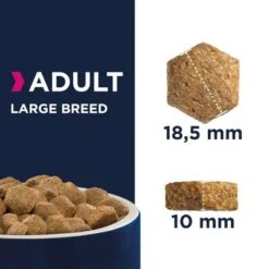Eukanuba Adult Razas Grandes Con Pollo -Mascota Suministros Ventas 80538 eukanuba adult large breed kibbles 7