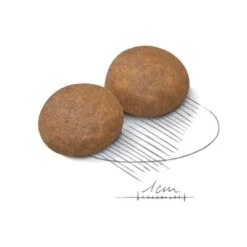 Royal Canin Maxi Adult 5+ -Mascota Suministros Ventas 80637 royalcanin maxiadult 5plus 15kg croc hs 02 1