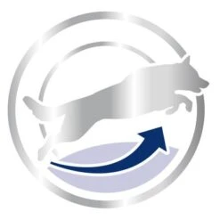 Royal Canin Maxi Adult 5+ -Mascota Suministros Ventas 80637 royalcanin maxiadult 5plus 15kg picto hs 03 8