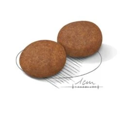 Royal Canin Medium Mature Adult 7+ -Mascota Suministros Ventas 80651 royalcanin mediumadult 7plus 15kg hs 02 9