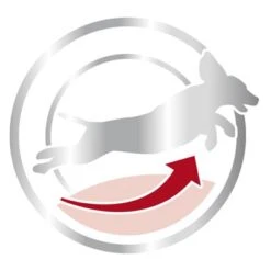 Royal Canin Medium Mature Adult 7+ -Mascota Suministros Ventas 80651 royalcanin mediumadult 7plus 15kg picto hs 03 9