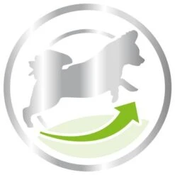 Royal Canin X-Small Adult 8 + -Mascota Suministros Ventas 80654 royalcanin packshot xsmall 8plus 3kg picto hs 03 2