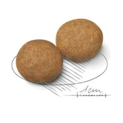 Royal Canin Medium Adult -Mascota Suministros Ventas 80731 royalcanin mediumadult 15kg croc hs 02 7