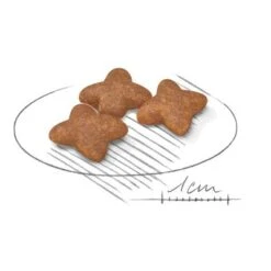 Royal Canin Mini Adult -Mascota Suministros Ventas 80735 royalcanin miniadult 8kg croc hs 02 9