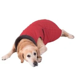 Abrigo Steppmuster Para Perros -Mascota Suministros Ventas 81645 hundemantel steppmuster hund fg 8625 gespiegelt 3