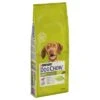 Purina Dog Chow Adult Con Cordero Y Arroz